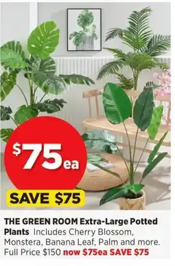 Spotlight The green room potted plants offer