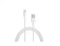 Apple Lightning To USB Cable 0.5m