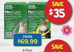 PetO Spectra spot on for cats offer