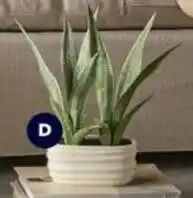 Spotlight Faux Potted Plant offer