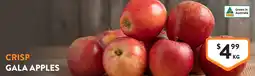 Foodworks Crisp gala apples offer