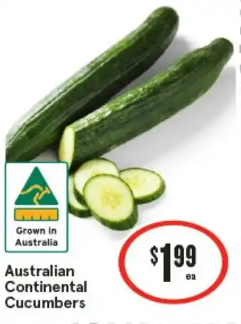 IGA Australian Continental Cucumbers offer