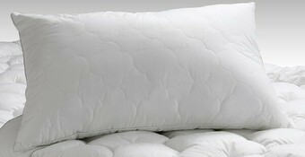 Spotlight 50% off Logan & Mason Platinum Collection Cloud Standard Pillow offer