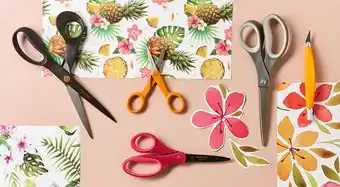 Spotlight 25% off Fiskars Papercraft Ranges offer