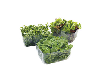Foodworks Baby spinach, rocket & mesculin salad mixes 100g offer