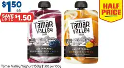 Foodland Tamar Valley Yoghurt offer