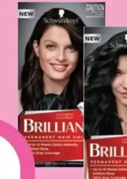 Priceline Schwarzkopf Brilliance 89 Bitter Sweet Chocolate offer