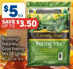 Foodland Brunnings Naturally Good Potting Mix offer