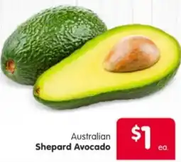 Spar Australian Shepard Avocado offer