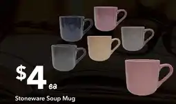 Ritchies Stoneware Soup Mug offer