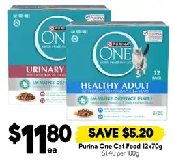 Drakes Purina One Cat Food offer