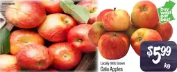 Foodworks Gala Apples offer