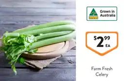 Foodworks Farm Fresh Celery offer