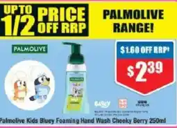 Chemist Warehouse Palmolive Kids Bluey Foaming Hand Wash Cheeky Berry offer