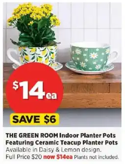 Spotlight THE GREEN ROOM Indoor Planter Pots Featuring Ceramic Teacup Planter Pots offer