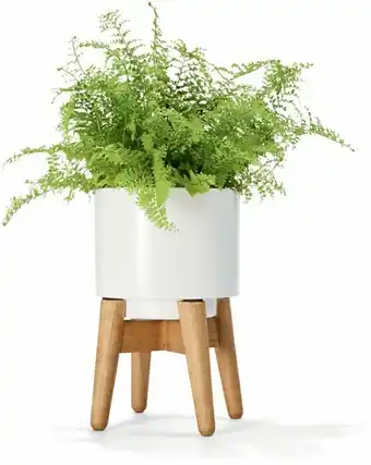 Kmart Mini Pot with Stand - White offer