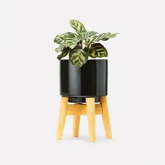 Kmart Mini Pot with Stand - Black offer