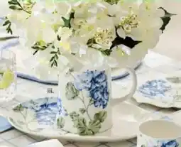 Harris Scarfe Jug offer