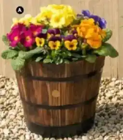 Mitre 10 Wooden Barrel Planters offer