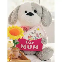 Woolworths Mother’s Day Plush – Assorted offer