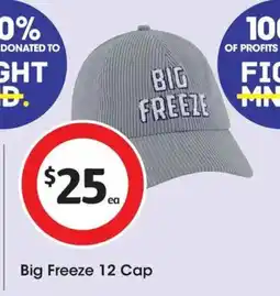 Coles Big Freeze 12 Cap offer