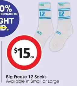 Coles Big Freeze 12 Socks offer