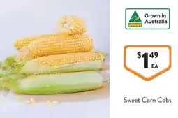 Foodworks Sweet Corn Cobs offer