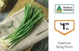 Foodworks Field Fresh Spring Onions offer