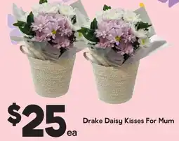 Drakes Drake Daisy Kisses For Mum offer