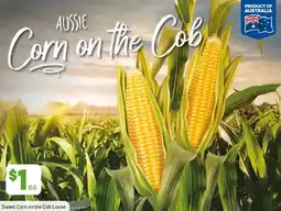 Foodland Sweet Corn on the Cob Loose offer