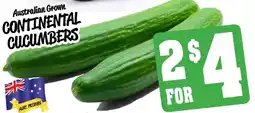 Farmer Jack's Australian grown continental cucumbers offer