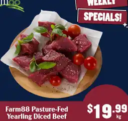 Tasman Butchers Farm88 Pasture-Fed Yearling Diced Beef offer