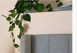 Kmart Artificial Draping Pothos in Pot offer