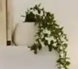 Kmart Artificial Trailing Plant in Pot offer