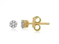 Bevilles Jewellery 9ct Yellow Gold 0.10ct Diamond Flower Stud Earrings offer