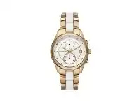 Bevilles Jewellery Michael Kors Briar Watch Model MK6466 offer