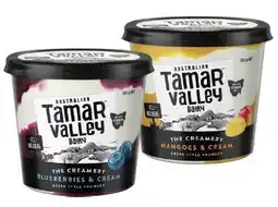 IGA Tamar Valley Greek Style Yoghurt Selected Varieties offer
