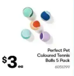 BIG W Perfect Pet Coloured Tennis Balls 5 Pack offer