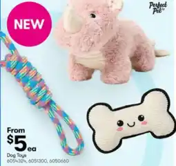 BIG W Dog toys offer
