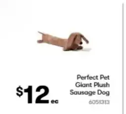 BIG W Perfect pet giant plush sausage dog offer