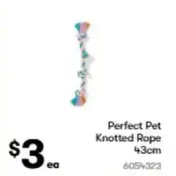 BIG W Perfect pet knotted rope 43 cm offer