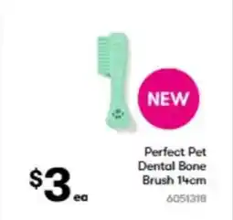 BIG W Perfect pet dental bone brush 14cm offer
