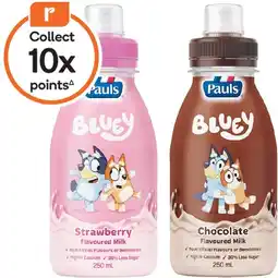 Woolworths Pauls Bluey Flavoured Milk offer
