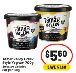 IGA Tamar Valley Greek Style Yoghurt offer