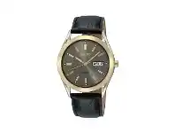 Seiko Mens Watch Model SNE050P9