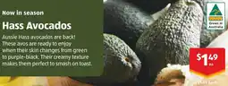 ALDI Hass Avocados offer