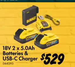 Bunnings 18V 2 x 5.0Ah Batteries & USB-C Charger offer