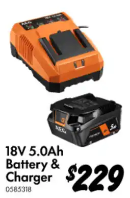 Bunnings 18V 5.0Ah Battery & Charger offer