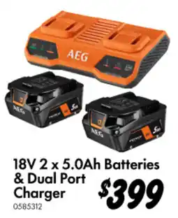 Bunnings 18V 2 x 5.0Ah Batteries & Dual Port Charger offer