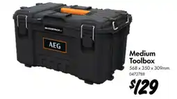 Bunnings Medium Toolbox offer